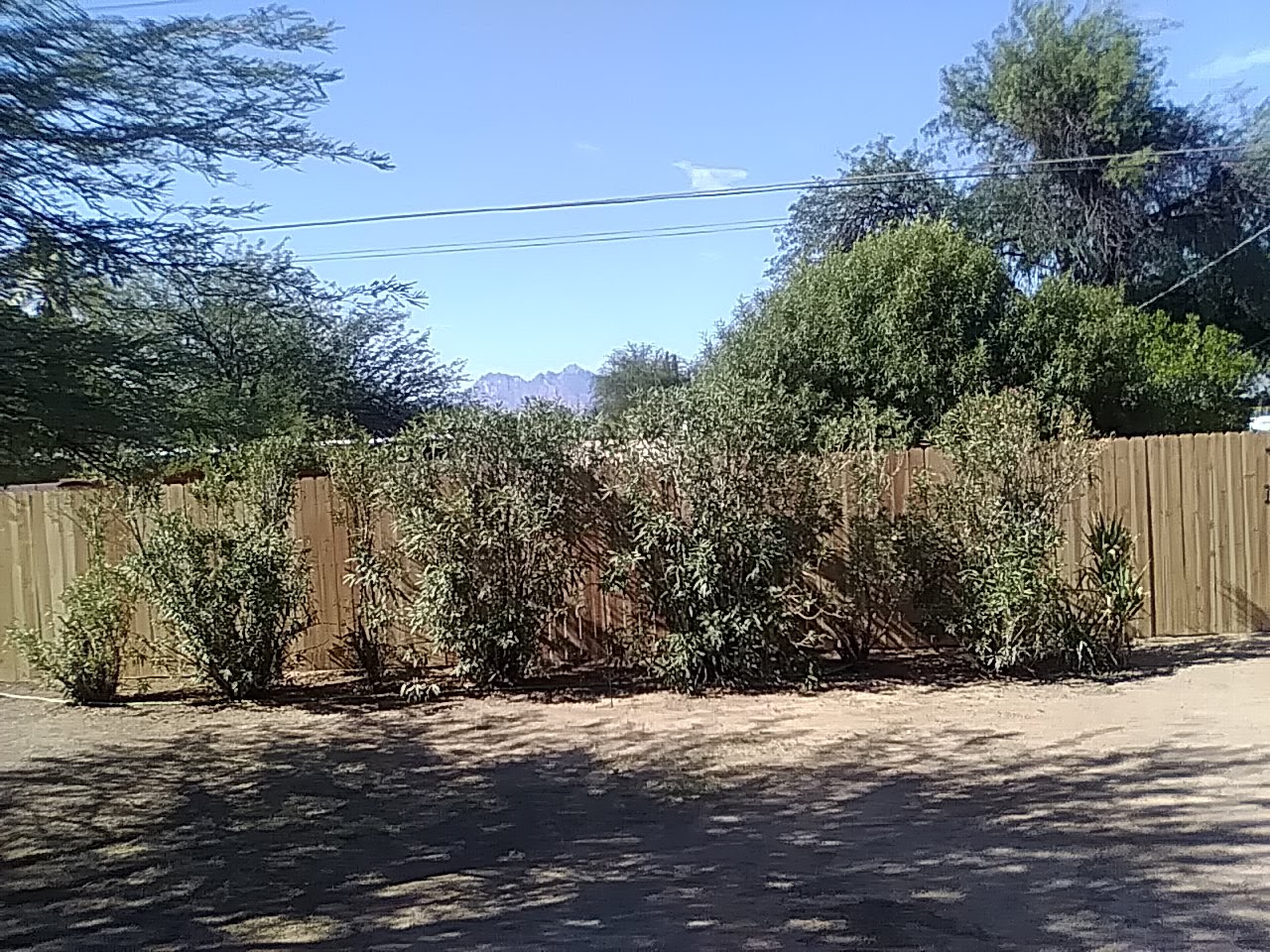 Tucson Fence Company project